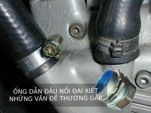 ong dan dau noi co de 1